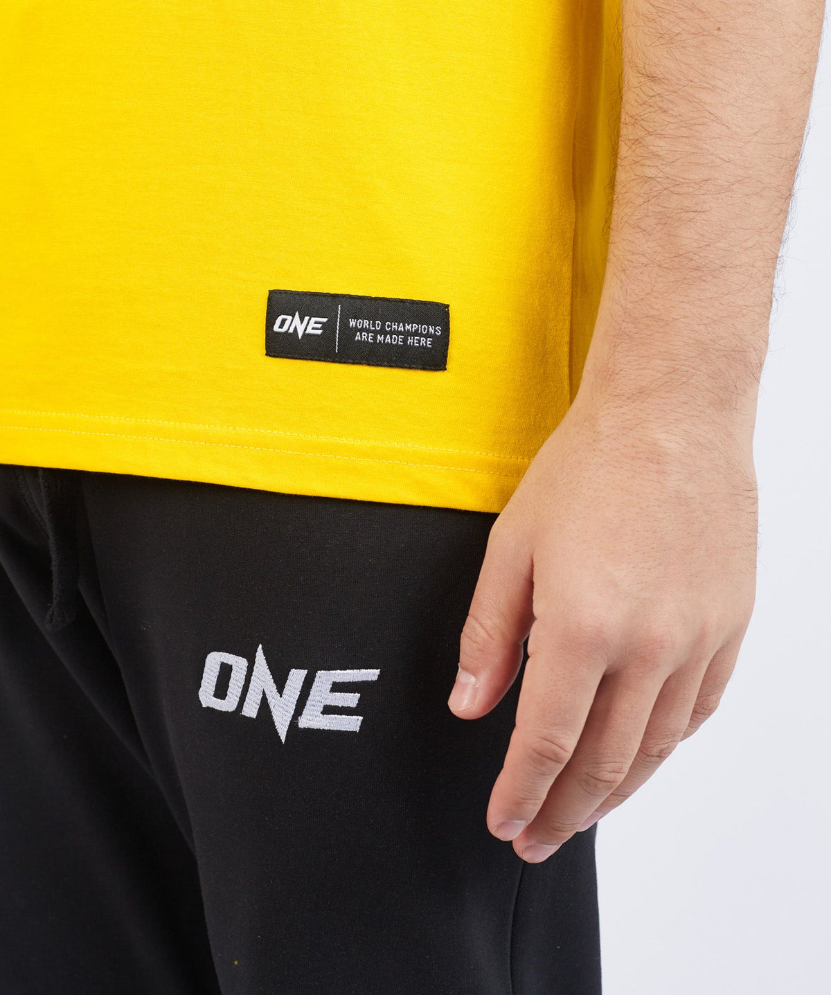 เสื้อยืด Kickboxing vs The World